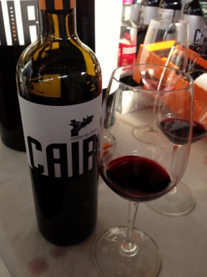XIV_Salón_Peñín_Mejores_Vinos_España_vino_tierras_cair